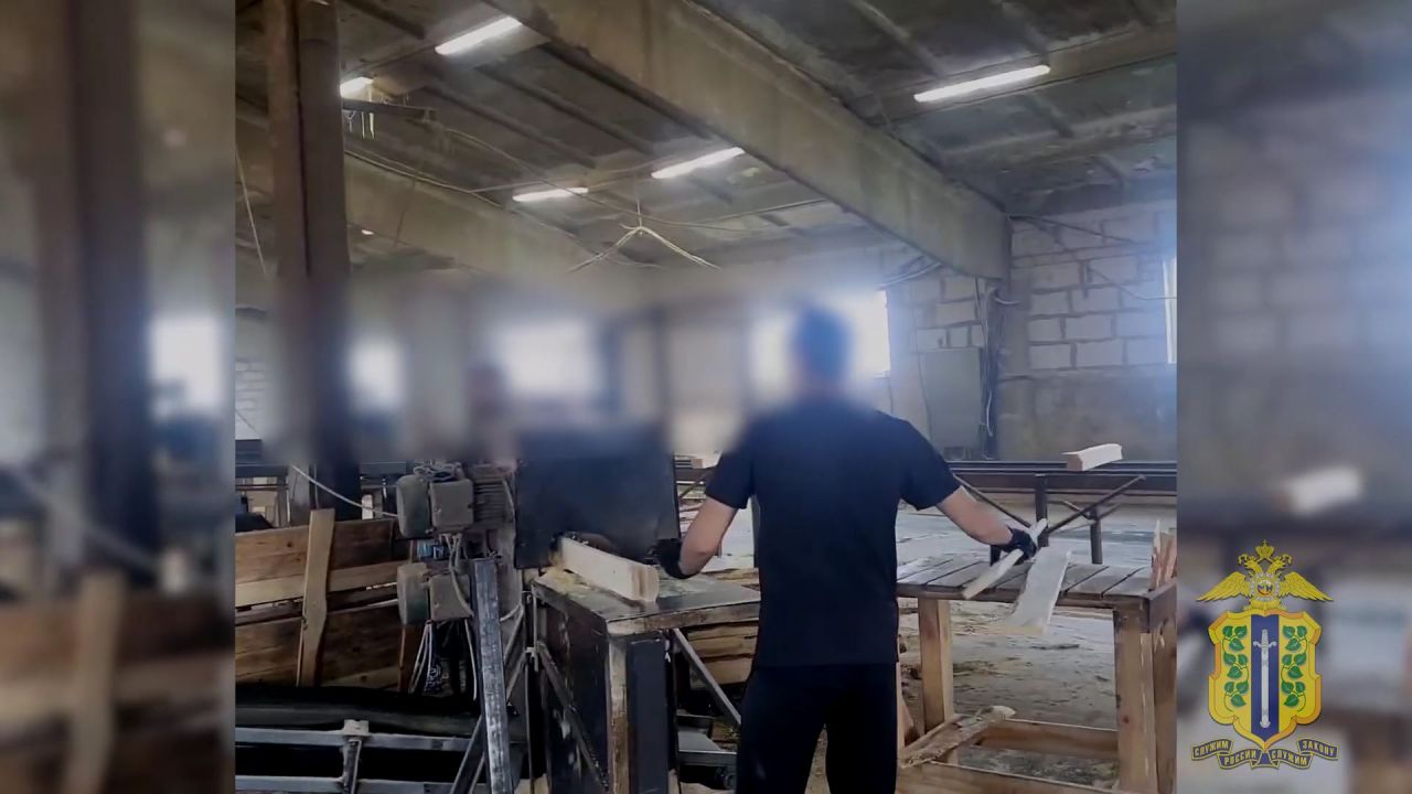 Липецкий производитель поддонов попался на трудоустройстве мигрантов-нелегалов