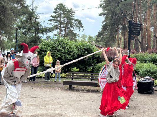 Огромная коза и люди на ходулях удивили воронежцев в популярном парке 