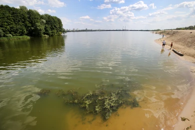 Шесть воронежских водоёмов не прошли проверку Роспотребнадзора
