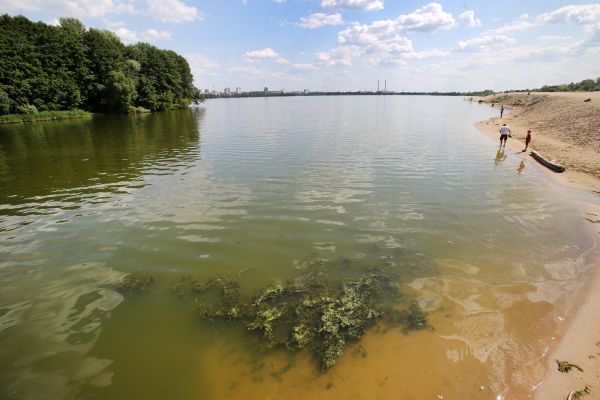 Шесть воронежских водоёмов не прошли проверку Роспотребнадзора