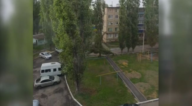 Тополя не выдерживают сильного ветра и падают на машины в Воронежской области