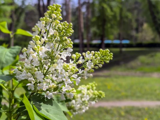 Прогноз погоды в Воронеже на четверг, 4 июня