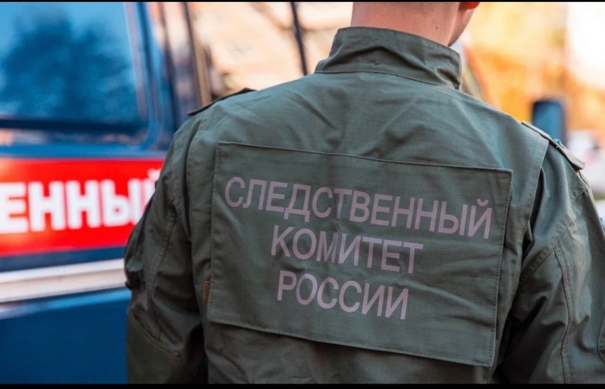«Стены из гнилой дранки и землянка внутри»: липчане пожаловались Бастрыкину