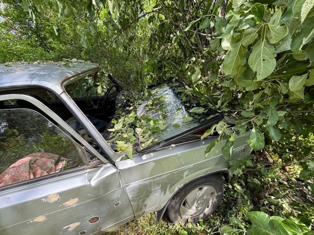 Мужчина врезался в дерево на машине и погиб в Воронежской области&nbsp;
