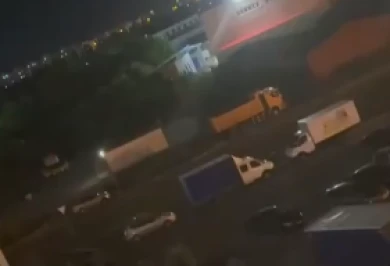 Тоскующие фанаты МакSим мешали воронежцам уснуть