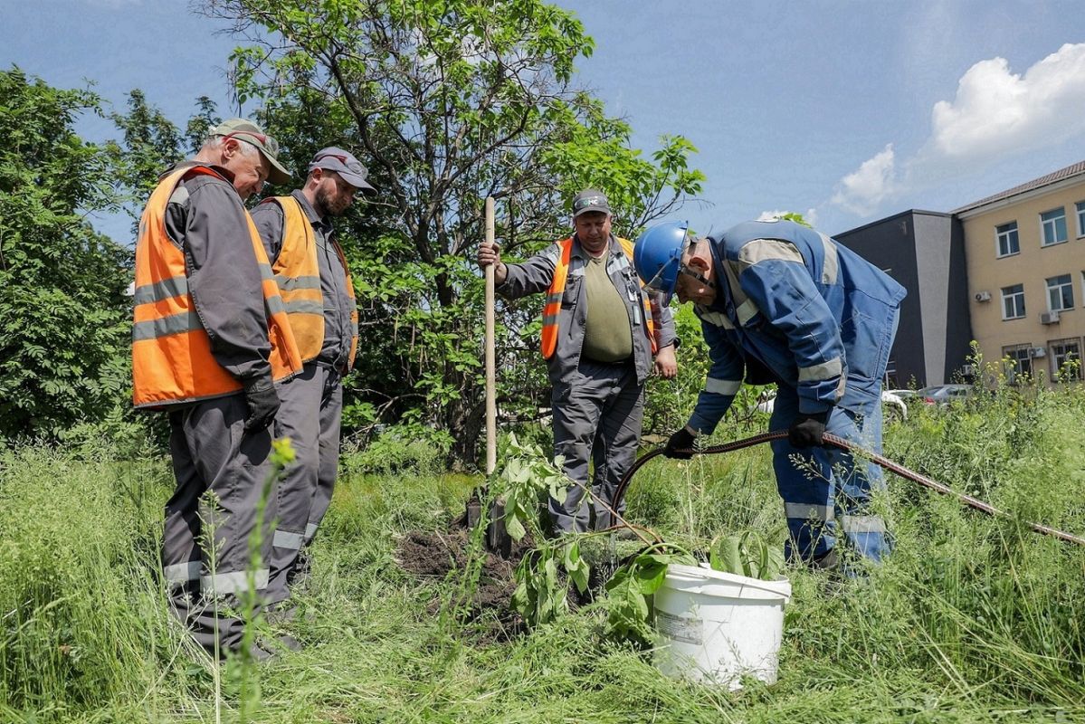 Сотрудники НЛМК собрали на субботниках 1 300 мешков мусора