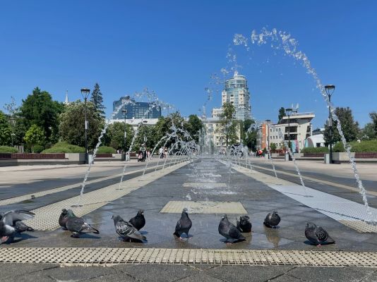 Адский зной до +34° нагрянет в Воронежскую область