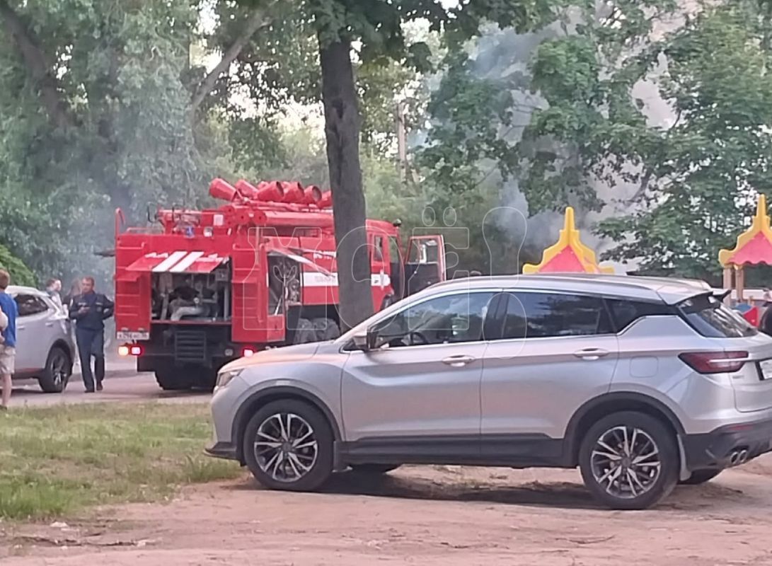 Выяснилось, что горело на левом берегу в Воронеже&nbsp;