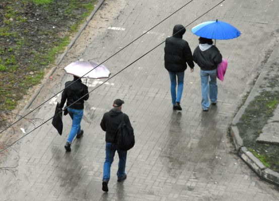 Тропический дождь обрушился на Воронеж: когда закончатся осадки? 