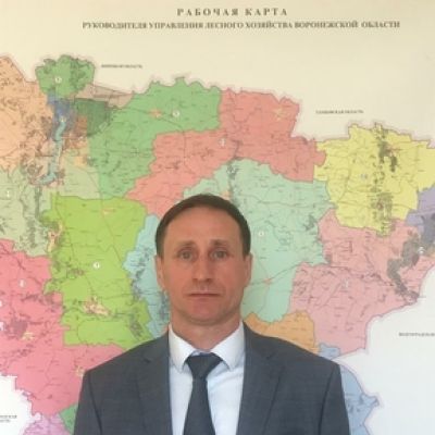 Покинул пост министр лесного хозяйства Воронежской области