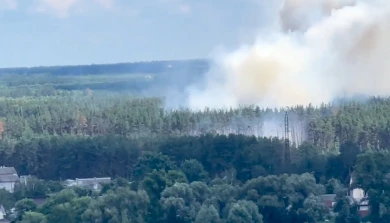 Выяснилось, что полыхает на левом берегу Воронежа