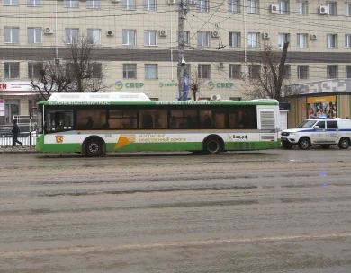Три популярных воронежских маршрута ждут изменения