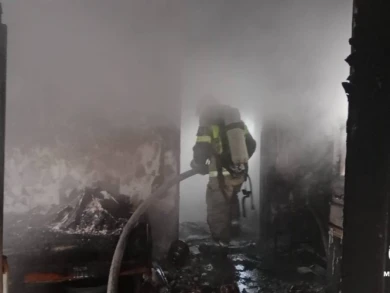 Пожилая женщина погибла в пожаре под Воронежем
