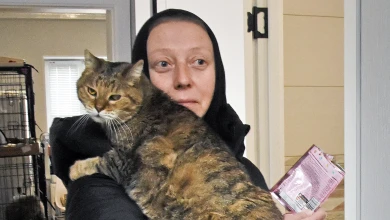 «Заканчивайте безобразие!». Монахиня рассказала, как её выгнали вместе с котятами из перехода у ТРЦ в Воронеже