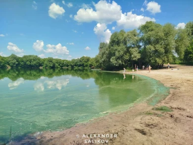 Вода в воронежском озере внезапно изменила цвет. В чём причина?