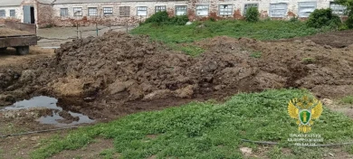 Прокуратура нашла антисанитарию на молочной ферме под Белгородом