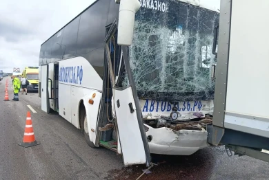 До 19 выросло число пострадавших в ДТП с автобусом на трассе М-4 «Дон» под Воронежем