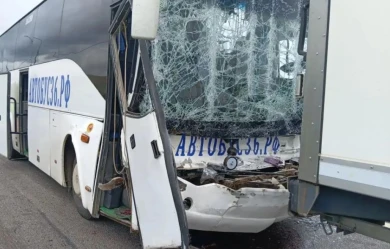 Бастрыкин заинтересовался ДТП с автобусом под Воронежем, в котором пострадали 19 человек