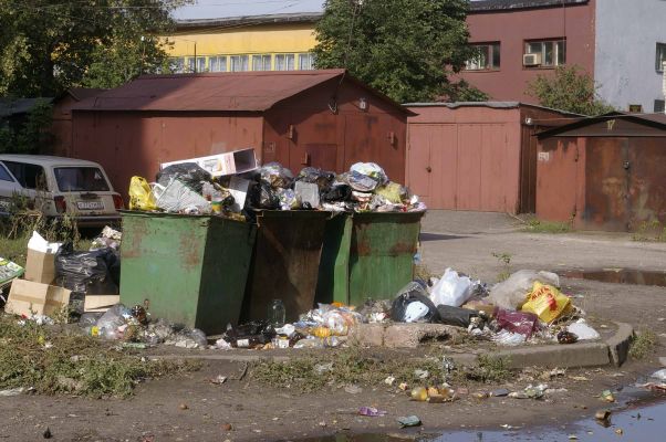 Миллионные штрафы за мусор: как наказали регоператора и УК в Воронеже