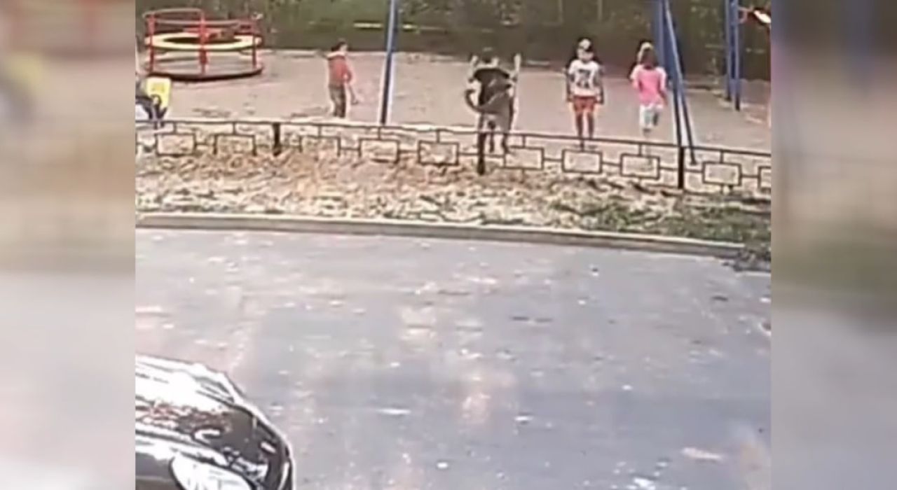 Что стало с собакой, которая укусила мальчика на детской площадке в Воронеже
