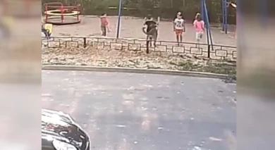 Что стало с собакой, которая укусила мальчика на детской площадке в Воронеже