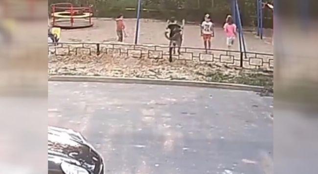 Что стало с собакой, которая укусила мальчика на детской площадке в Воронеже