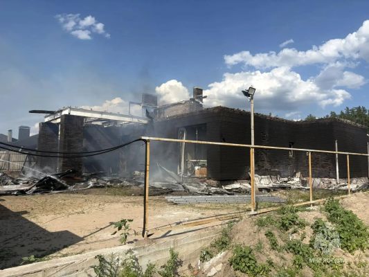 Появились фото со страшного пожара под Воронежем