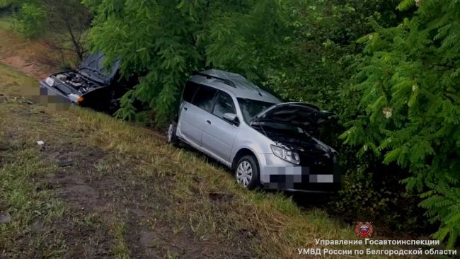 Водителя под Белгородом насмерть сбила иномарка, когда он ремонтировал авто