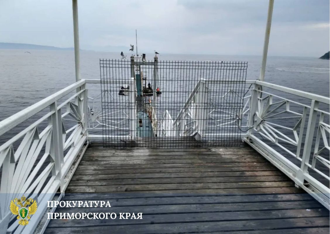 Три ребенка пострадали во время обрушения пешеходного моста в Приморском крае