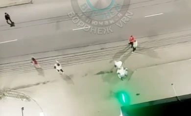 Жестокое избиение у караоке-бара в Воронеже попало на видео