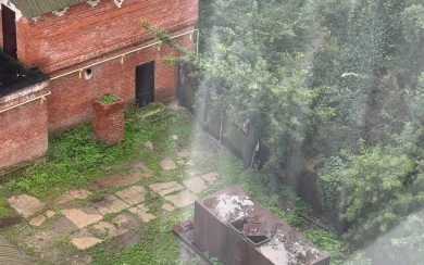 «Ломились в закрытые ворота». Появились подробности нападения стаи собак на воронежанок