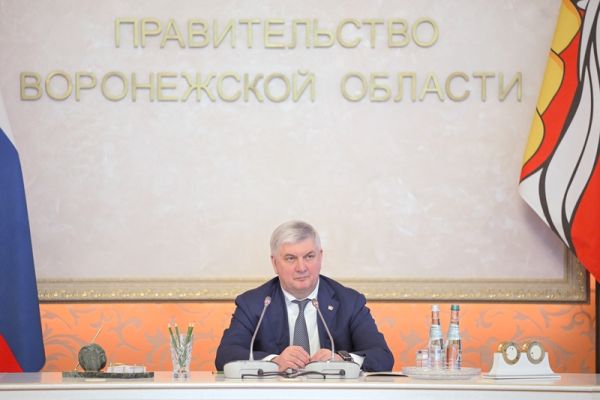 Воронежский губернатор опубликовал свою новую статью о выборах и будущем региона