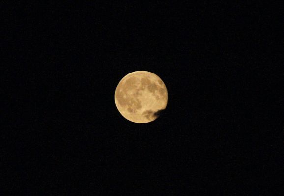 Беспилотники готовятся сбивать в Лискинском и Острогожском районах