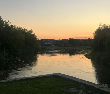 Подросток прыгнул в водоём и утонул в Воронежской области