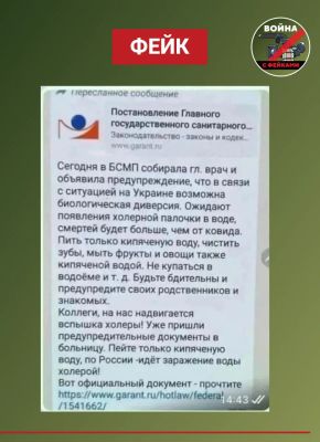 Эпидемией холеры напугали воронежцев в интернете