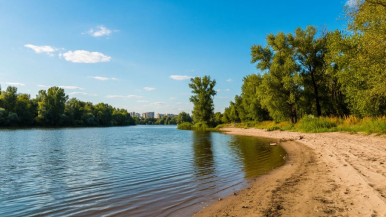 Пляжный конфликт чуть не закончился трагедией в Воронеже