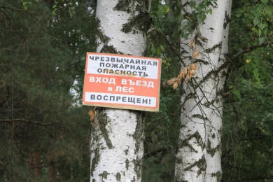 Власти Воронежской области вводят запрет на въезд в леса