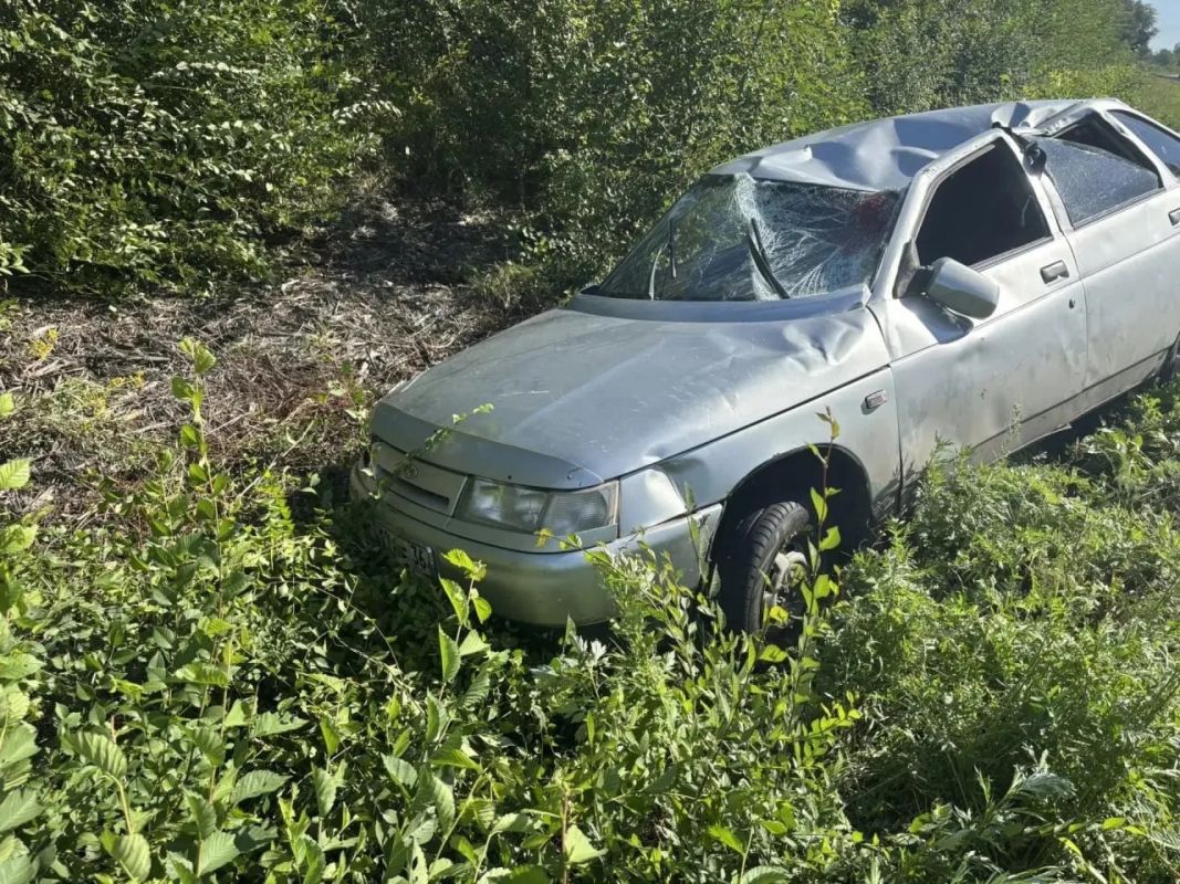 ВАЗ сбил дикое животное на&nbsp;воронежской трассе: водитель в&nbsp;больнице