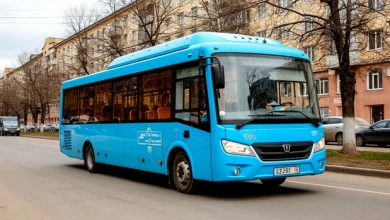 Девочке, сбитой автобусом в Воронеже, выплатят полмиллиона