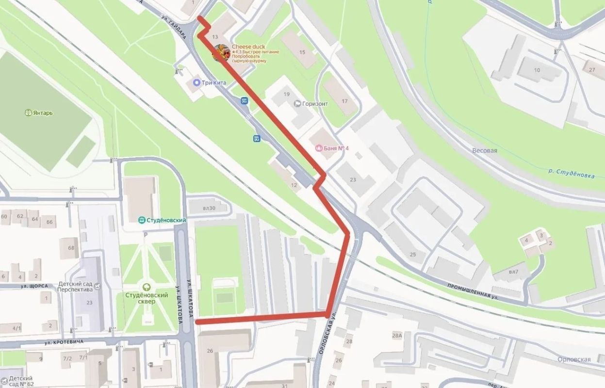 Мостовой переход на Гайдара в Липецке закрыт для пешеходов