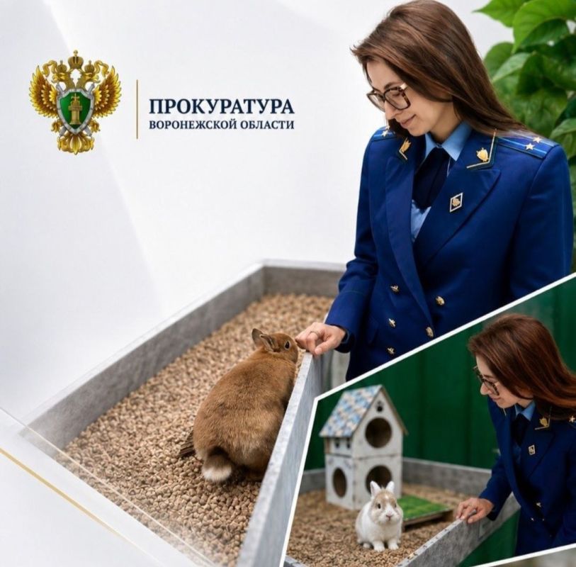 Зоопарк закрылся в Воронеже после проверки прокуратуры