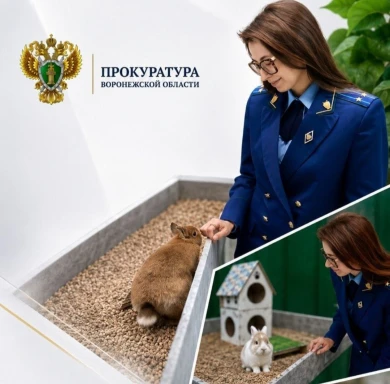 Зоопарк закрылся в Воронеже после проверки прокуратуры