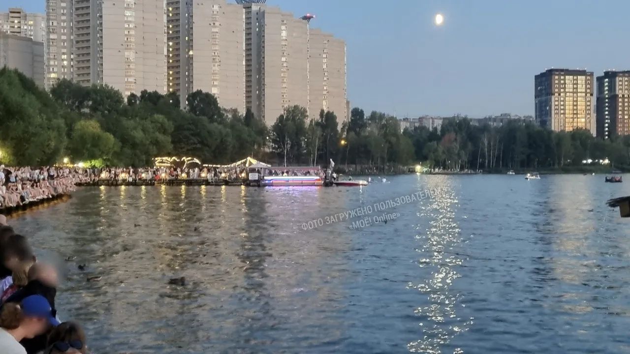 «Мы не&nbsp;справились». Воронежский «Дельфин» ответил на критику вечера фонарей