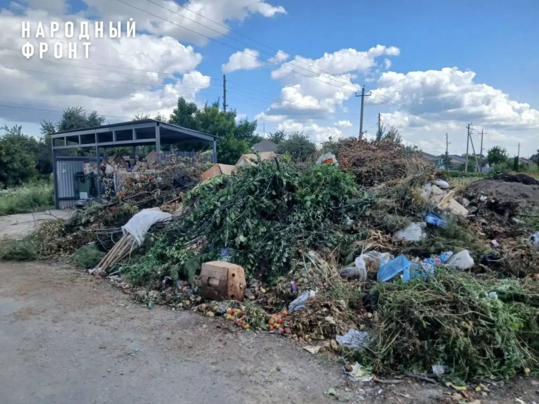 Регоператор бросил жителей липецкого села, оставив горы мусора