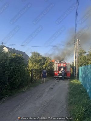 Появилось видео смертельного пожара в воронежском СНТ