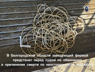 Подросток погиб от удара током на ферме под Белгородом: дело передали в суд