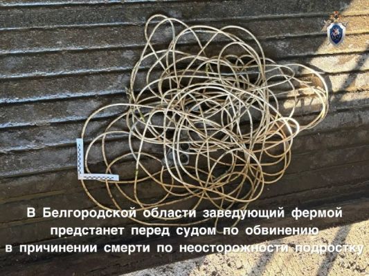 Подросток погиб от удара током на ферме под Белгородом: дело передали в суд