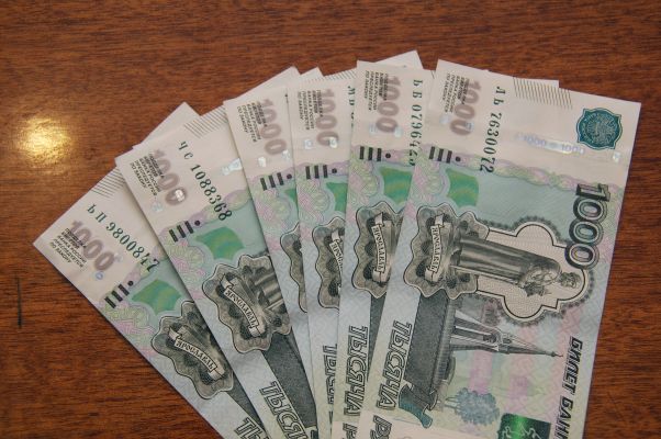 Мужчину оштрафовали за искажённый герб города в Воронежской области
