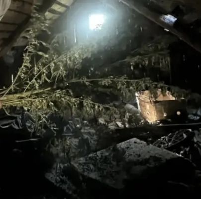 Шокирующую находку обнаружили полицейские на чердаке воронежца