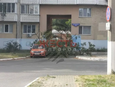 Дерево рухнуло на автомобиль и едва не задело прохожую в Белгороде